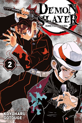 Demon Slayer - Tome 02