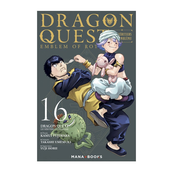 Dragon Quest - Les Héritiers de L'embleme T16