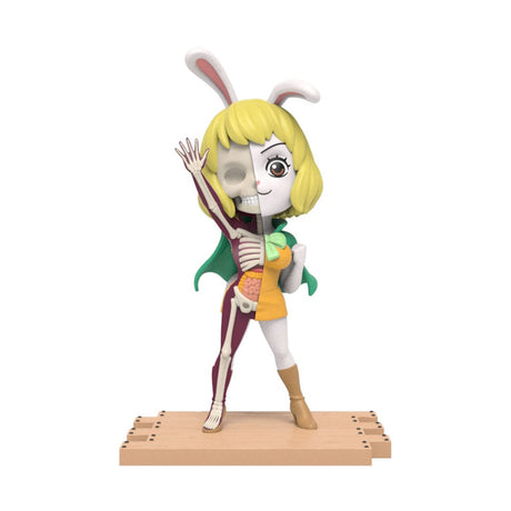 One Piece présentoir Blind Box Hidden Dissectibles Series 5